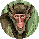 Eltonn Aliiaj profile picture